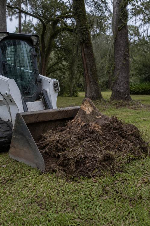 Compact loader bucket working a stump on a grassy Louisiana backyard