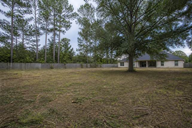 Cleared suburban Louisiana backyard with a remaining live oak and pines at the fence